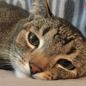 Meet your Posher, Jinwon